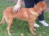 Morag - ADOPTED 09.09.14