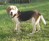 Im Litter Axel - ADOPTED 10.05.14