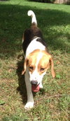 Im Litter Axel - ADOPTED 10.05.14
