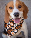 Im Litter Axel - ADOPTED 10.05.14