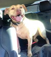Rouger (LD) ADOPTED 11.14.14