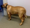 Rouger (LD) ADOPTED 11.14.14