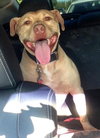 Rouger (LD) ADOPTED 11.14.14