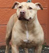 Rouger (LD) ADOPTED 11.14.14