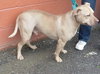 Rouger (LD) ADOPTED 11.14.14