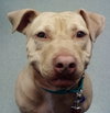 Rouger (LD) ADOPTED 11.14.14