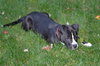 Tips - ADOPTED 10.28.14