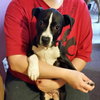 Tips - ADOPTED 10.28.14