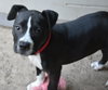 Tips - ADOPTED 10.28.14