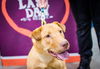 Willa - ADOPTED 12.04.14