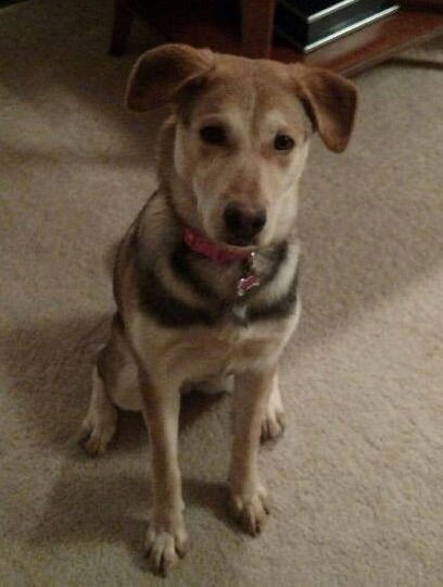 Brooklyn - ADOPTED 1.17.15