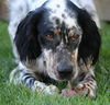 Treble-ADOPTED 10.16.14