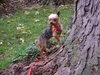 Tiny Tim â¥-ADOPTED-11.11.14