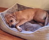 Sherman-ADOPTED-1.3.15