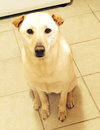 Mm-London-ADOPTED-12.3.14