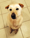 Mm-London-ADOPTED-12.3.14
