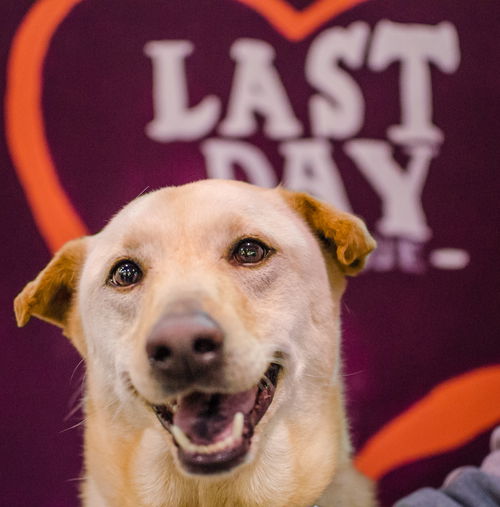 Mm-London-ADOPTED-12.3.14