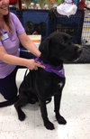 Barnaby-ADOPTED-12.21.14
