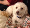 Mister Jake - ADOPTED 12.07.14