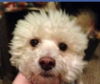 Mister Jake - ADOPTED 12.07.14