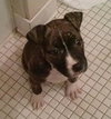 Kia - ADOPTED 12.04.14