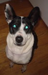 Marne - ADOPTED 01.10.15