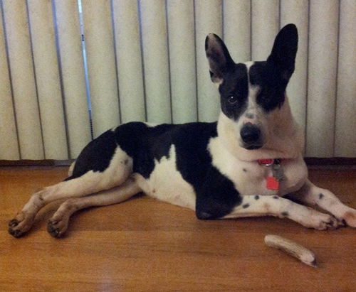 Marne - ADOPTED 01.10.15