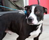 Butler-ADOPTED-2.26.15