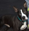Butler-ADOPTED-2.26.15