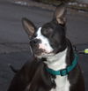 Butler-ADOPTED-2.26.15