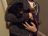 Riven - ADOPTED 12.26.14