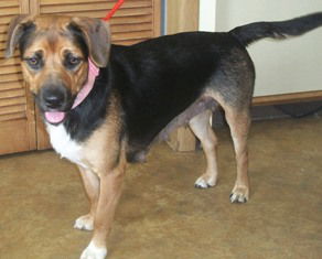 Felicity-ADOPTED-1.11.15