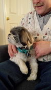 Duke Kringle-ADOPTED-1.11.15