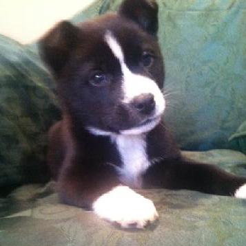 Rm Litter Teton - ADOPTED 01.01.15