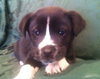 Rm Litter Teton - ADOPTED 01.01.15