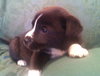 Rm Litter Teton - ADOPTED 01.01.15
