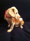 Sm Litter Vixen - ADOPTED 01.18.15