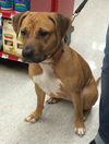 Kimber-ADOPTED-1.4.15