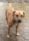 Kimber-ADOPTED-1.4.15