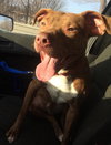 Reno-ADOPTED-1.18.15