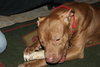 Reno-ADOPTED-1.18.15