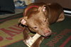 Reno-ADOPTED-1.18.15