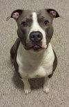 Mo - ADOPTED 05.24.19