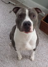 Mo - ADOPTED 05.24.19