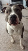 Mo - ADOPTED 05.24.19