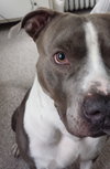Mo - ADOPTED 05.24.19