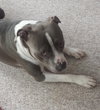 Mo - ADOPTED 05.24.19