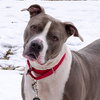 Mo - ADOPTED 05.24.19