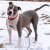 Mo - ADOPTED 05.24.19