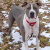 Mo - ADOPTED 05.24.19